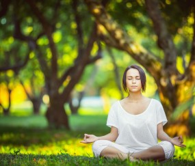 开云体育入口-德甲争冠战之夜，库里关键战不手软，跨越体育的决胜精神