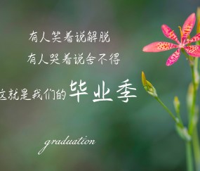 开云体育官网-牙买加飞人踏平瑞典防线，一场改写足球地理的抢七焦点战