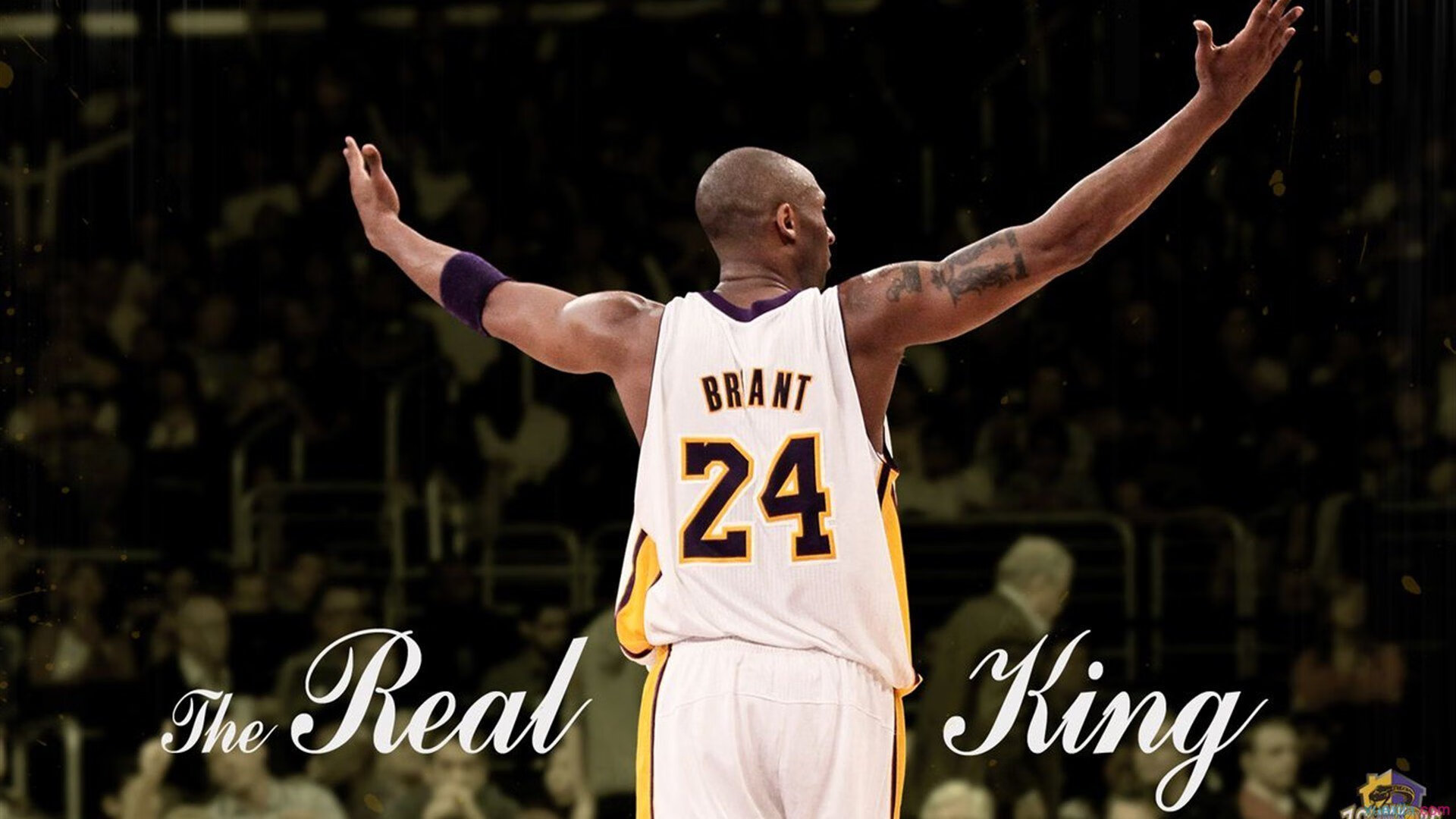 抢七之夜的孤胆英雄，哈利伯顿用每一次突破，书写属于这个时代的唯一剧本